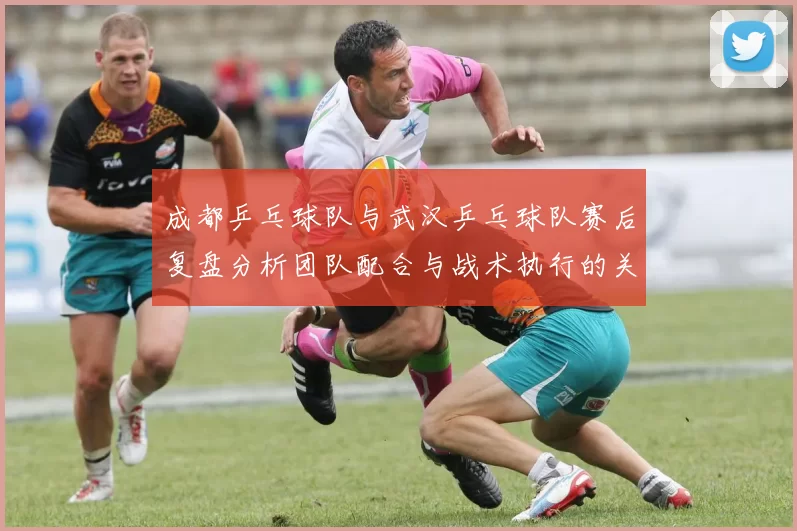 成都乒乓球队与武汉乒乓球队赛后复盘分析团队配合与战术执行的关键要素